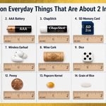 15 Common Everyday Things That Are About 2 Inches Long