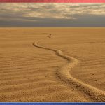 10 Common Everyday Things That Are About 18 Feet Long