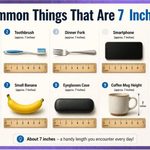 10 Common Things That Are 7 Inches Long