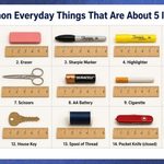 15 Common Everyday Things That Are About 5 Inches Long